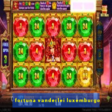 fortuna vanderlei luxemburgo